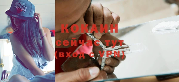 ГАЛЛЮЦИНОГЕННЫЕ ГРИБЫ Арсеньев