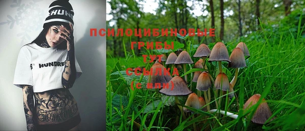 бошки Армянск