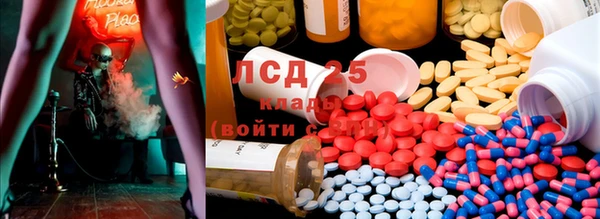 ГАЛЛЮЦИНОГЕННЫЕ ГРИБЫ Арсеньев