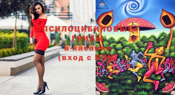 МДПВ Аркадак