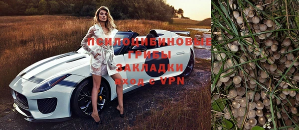 МДПВ Аркадак